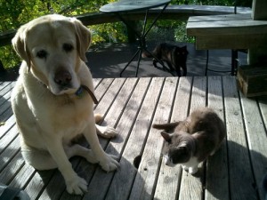 Good Friends